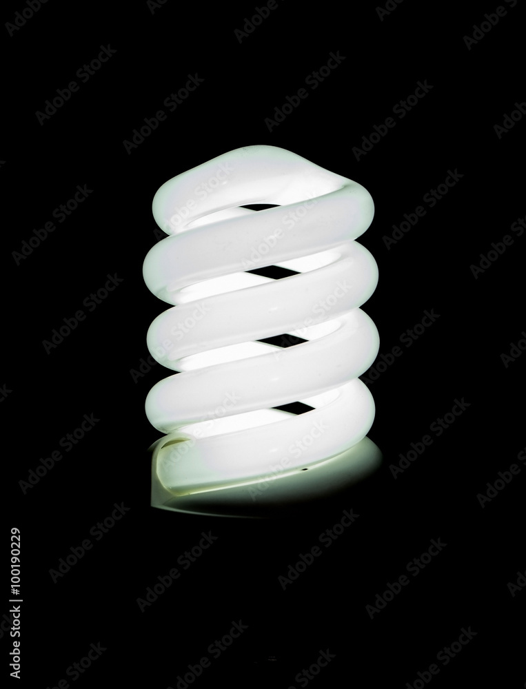 Energy-Saving Light Bulb Energy-Saving Light Bulb