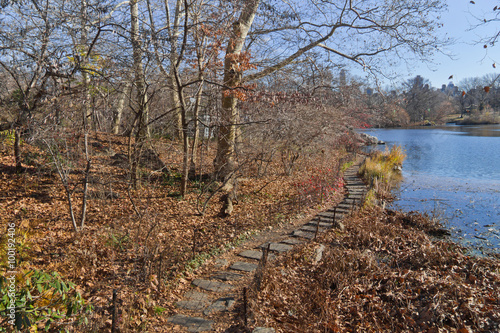 Trail at Central park lake