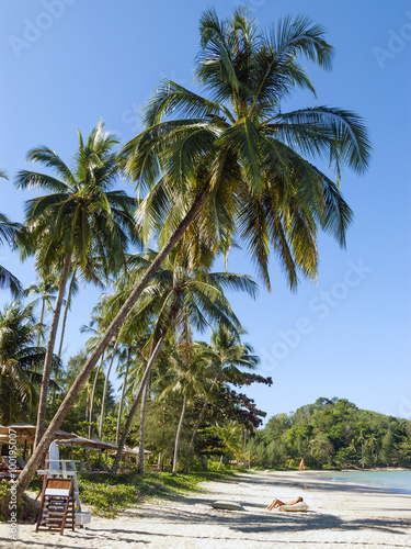 Palmenstrand in Khao Lak