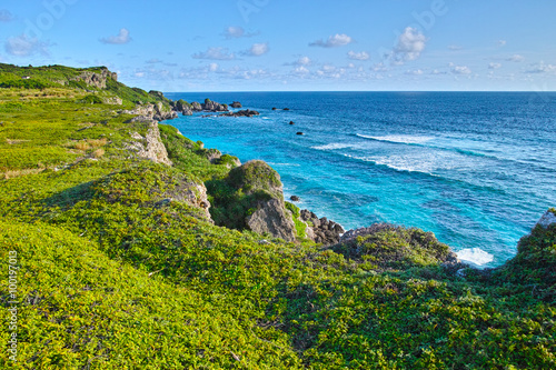 真夏の東平安名崎の風景