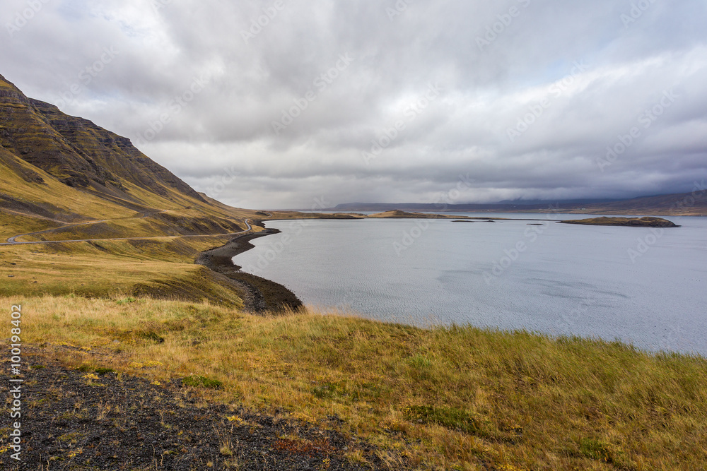 Icelandic coast in autumn, cloudy