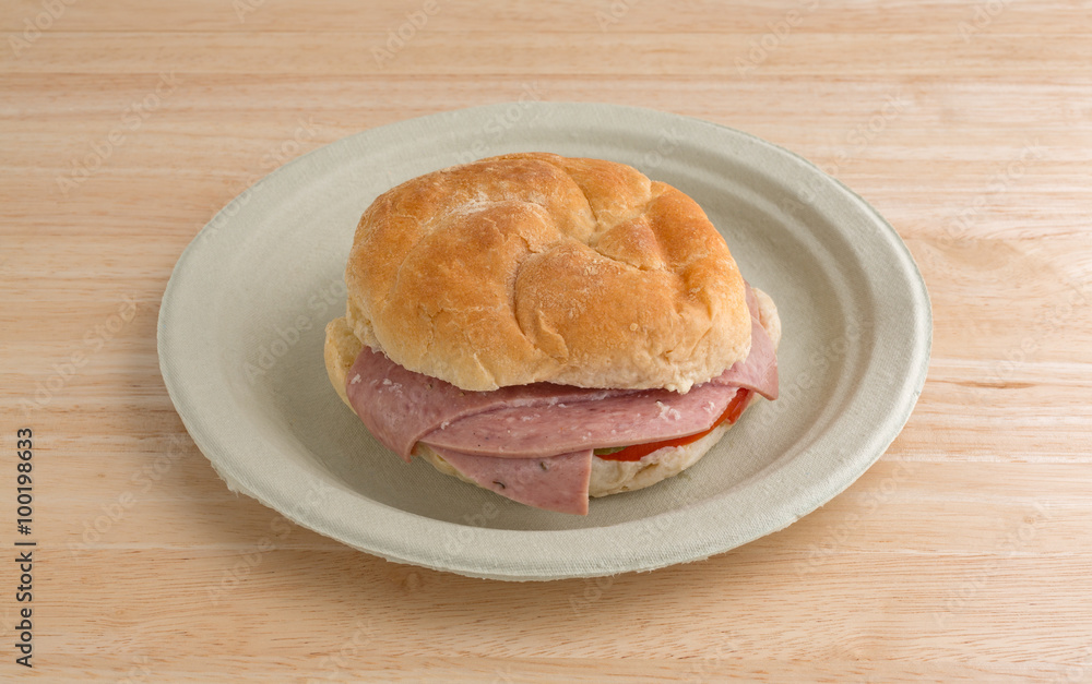 Salami sub sandwich on plate atop a table Salami sub sandwich on plate atop a table