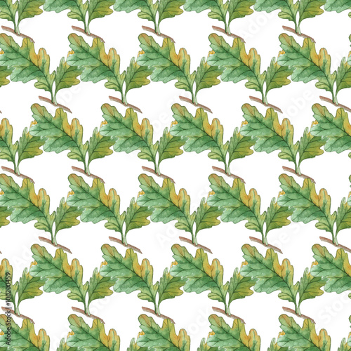 Watercolor Seamless pattern  with oak leaves