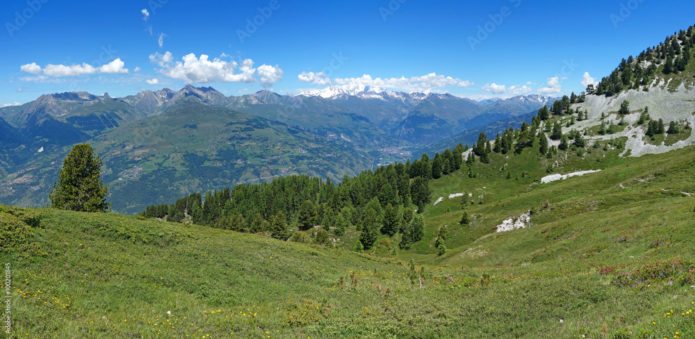 Vue panoramique des Alpes