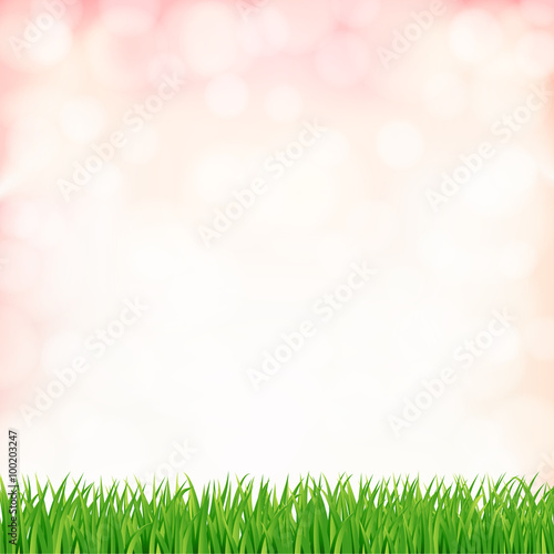 spring background with green grass and sky. vector