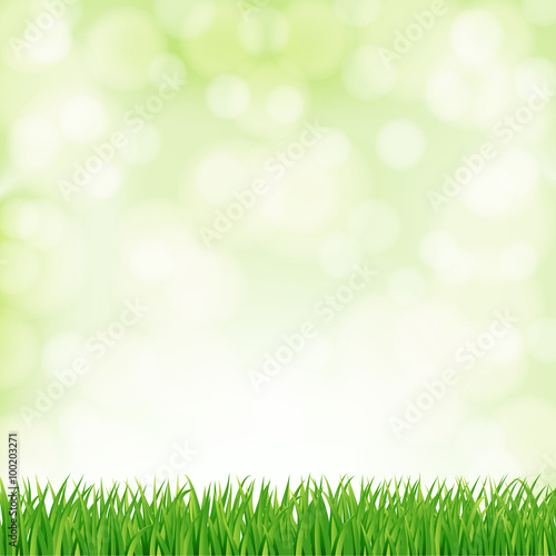 Fototapeta Naklejka Na Ścianę i Meble -  spring background with green grass and sky. vector