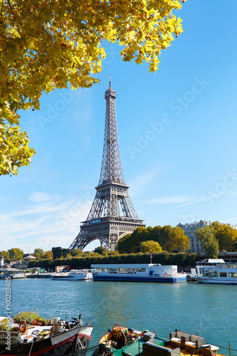 Eiffel tower and Seine river view with yellow autumn tree branch