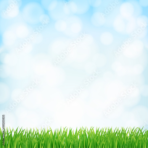 spring background with green grass and sky. vector