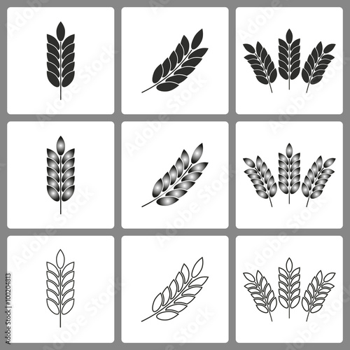  Set of Barley Icons.