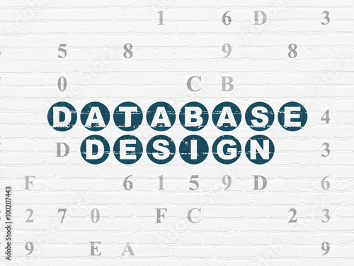 Software concept  Database Design on wall background