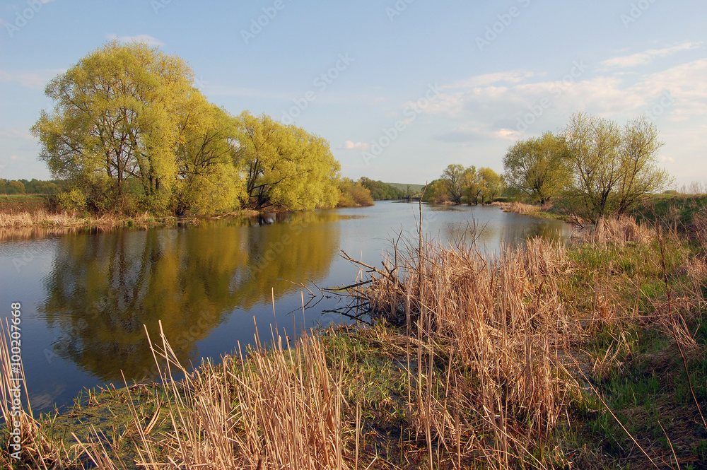 Fototapeta premium Подмосковный пейзаж