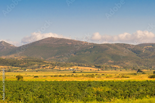 Landscape at Evia in Greece with a meadow and the wind turbines on top of the mountains.
