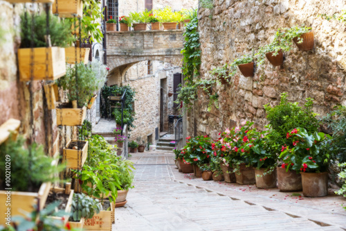 Photography with Orton effect of a street decorated with plants and flowers in the historic Italian city of Spello (Umbria, Italy) © Restuccia Giancarlo