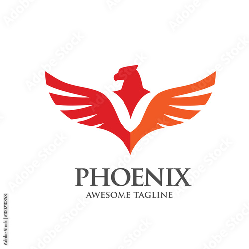 phoenix logo concept