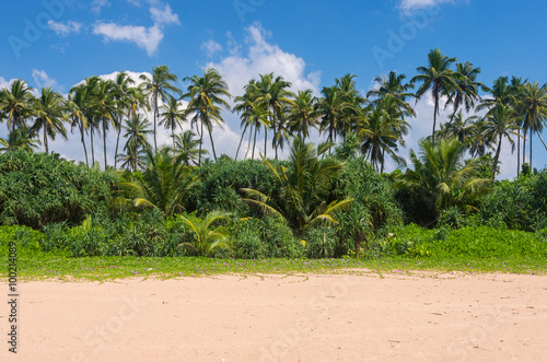 Tropical beach landscape