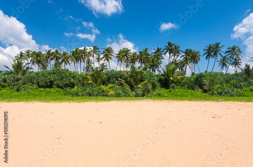Tropical beach landscape