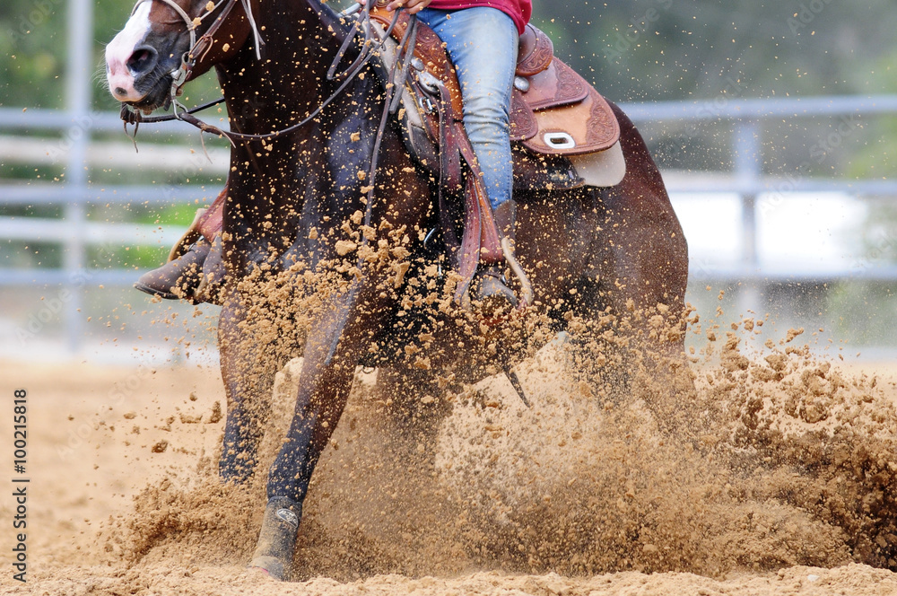 Obraz premium The rider is stopping the horse
