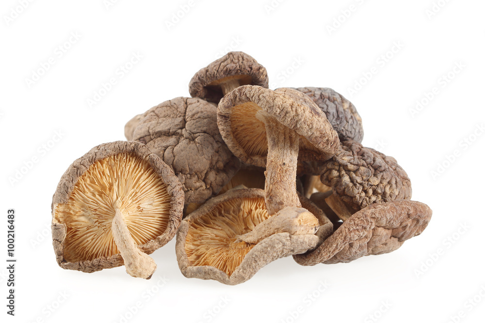 Dry Shiitake mushrooms isolated on white background Dry Shiitake mushrooms isolated on white background