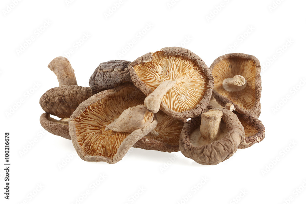 Dry Shiitake mushrooms isolated on white background Dry Shiitake mushrooms isolated on white background