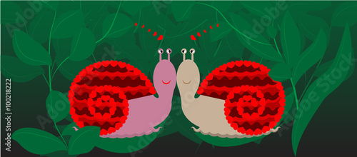 Love Snails Aşık Salyangozlar 