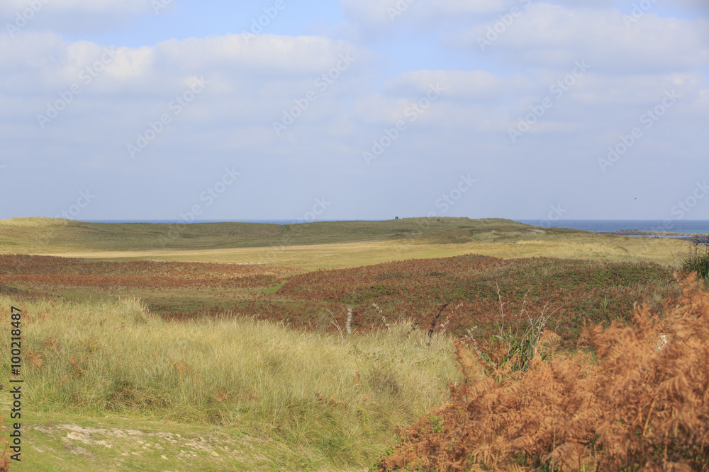Fototapeta premium English Farmland