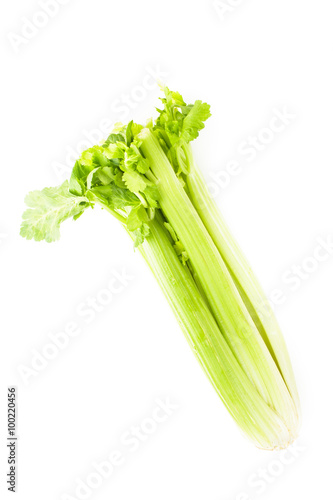 green celery isolated