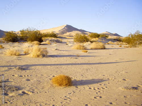 Mojave desert vista