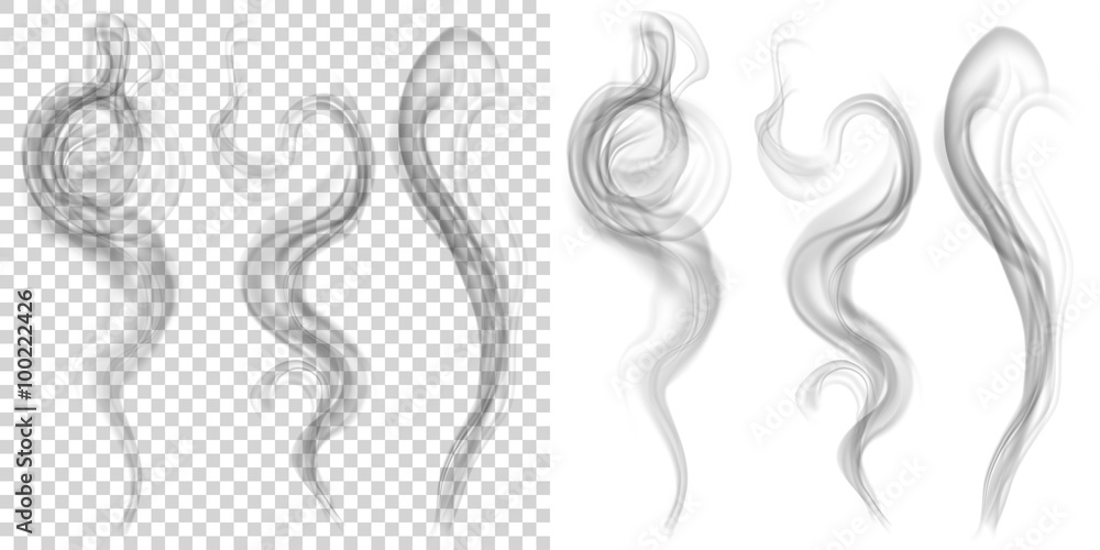 Set of translucent gray smoke on transparent and white background ...