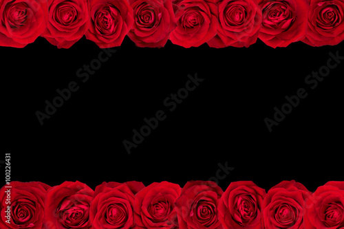 Red roses arranged in lines. Black background. © ysuel