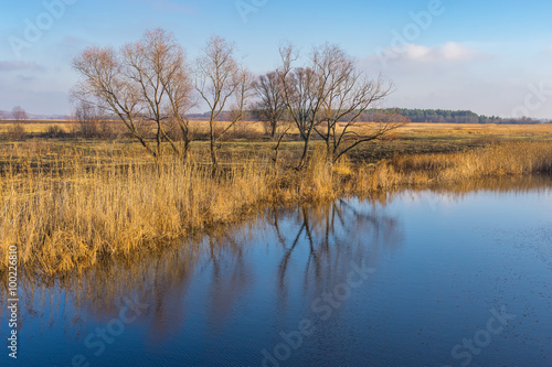 Landscape with small river Kolomak at fall season, Ukraine