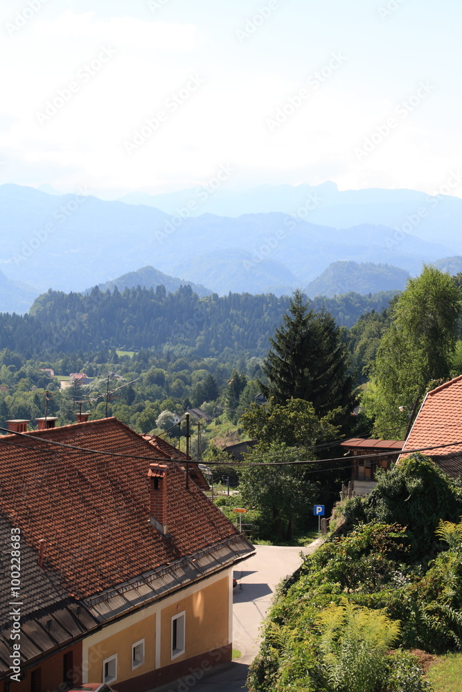 The views of Blead, Slovenia, year 2008