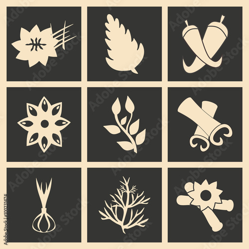 Flat in black and white concept mobile application  spices