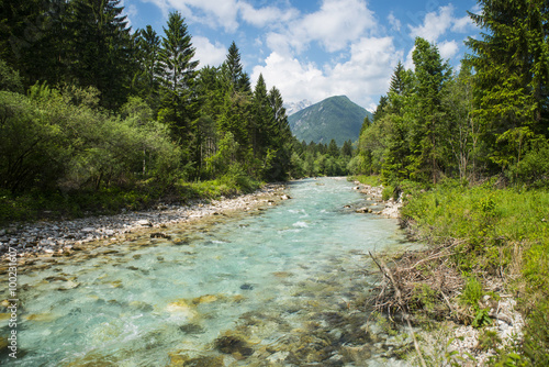 Schilderij op canvas Sava Dolinka river, Slovenia