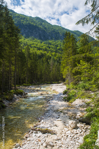 Triglavska bistrica river, Slovenia