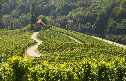 Road in a shape of a heart, Maribor, Slovenia photo