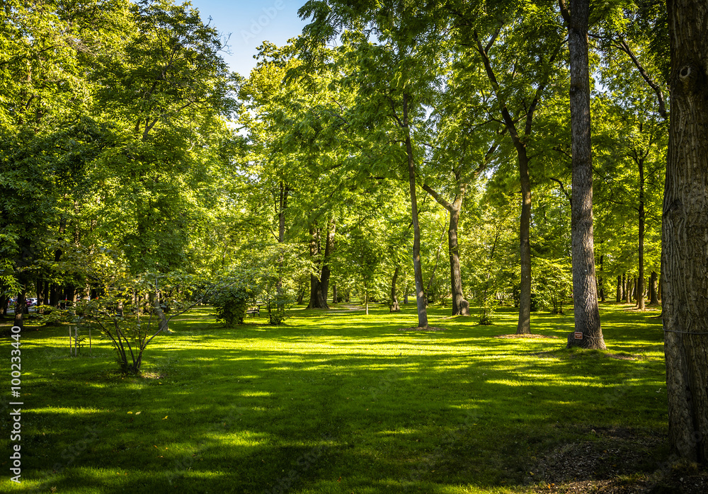 Forest Park Landscape