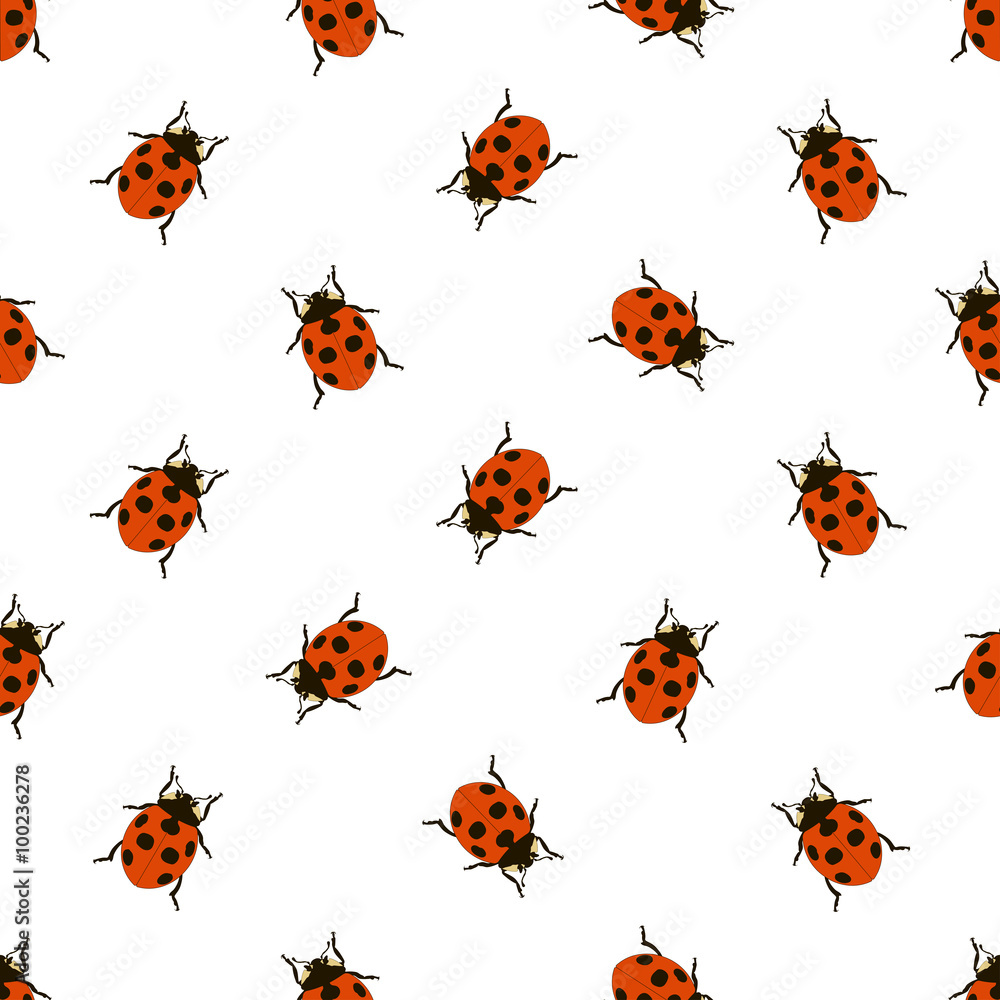 Fototapeta premium seamless pattern with ladybug on white background