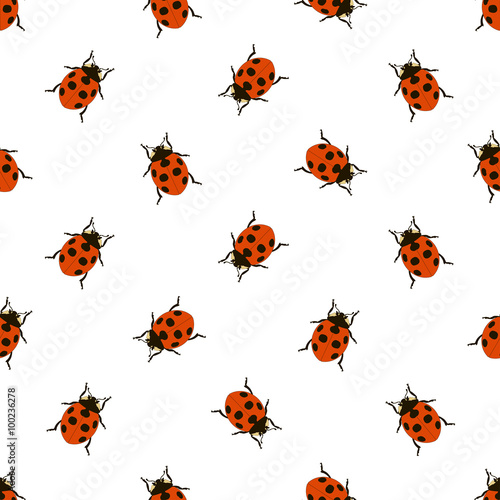seamless pattern with ladybug on white background