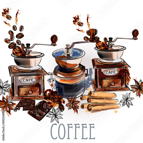 Coffee vector background with coffee grinder anise stars and roa