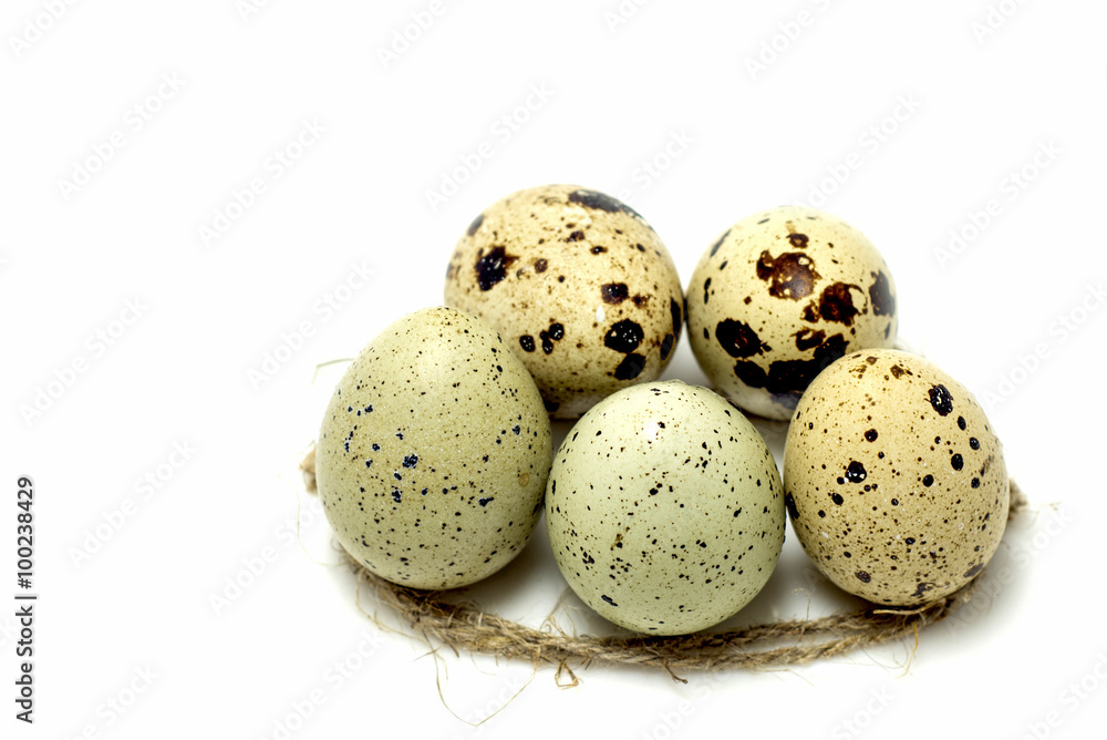 Quail eggs on a light background Quail eggs on a light background