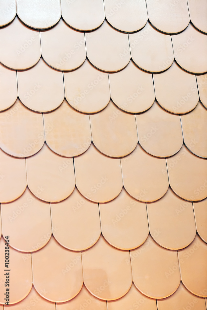 Roof shingle Roof shingle