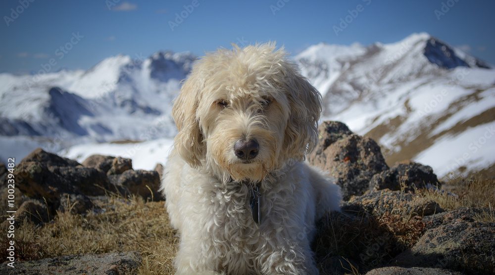 Teig on Woods Mountain Teig on Woods Mountain