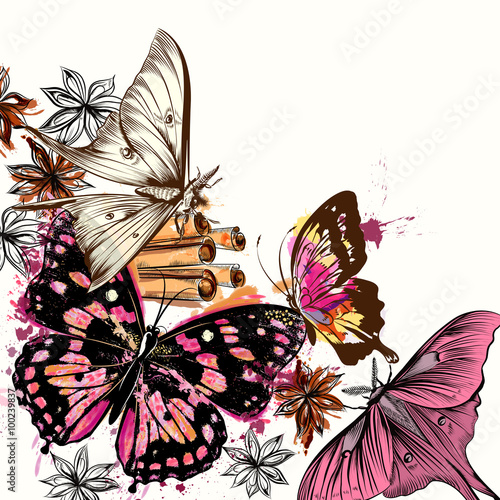 Vector illustration with detailed butterfly in watercolor spots
