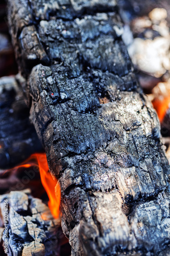Wood fire © vladimirnenezic