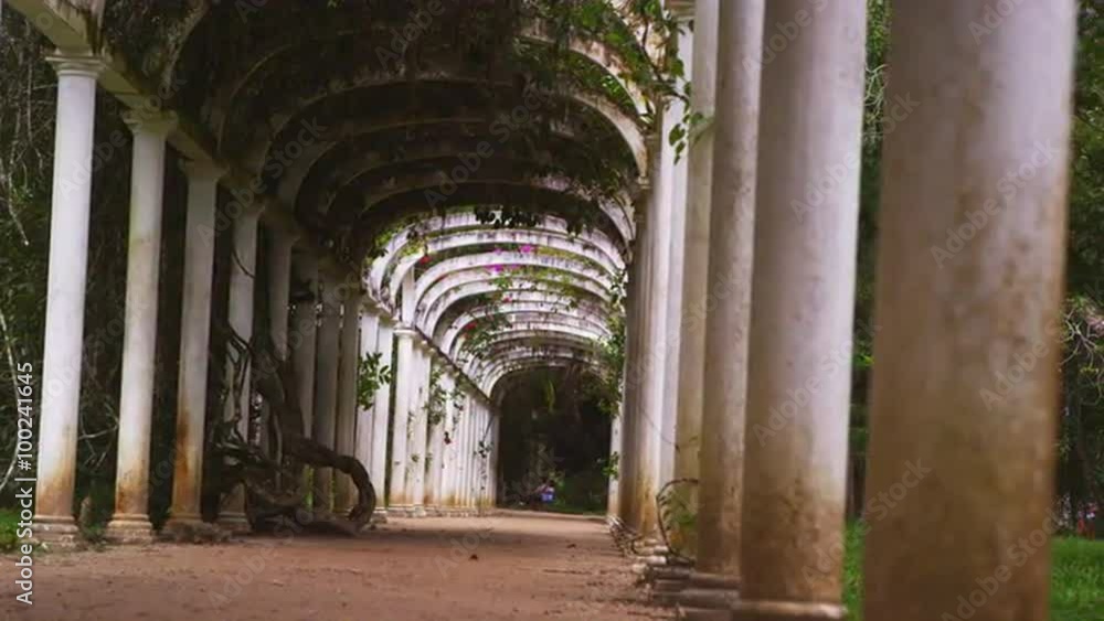 Slow panning shot of botanical gardens in Rio. Slow panning shot of botanical gardens in Rio.