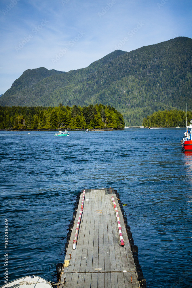 Naklejka premium Empty Boat or Float Plane Dock in the Mountains
