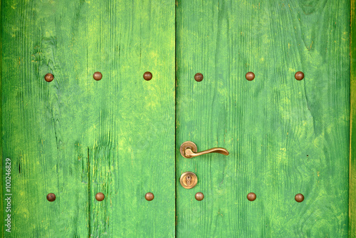Antique green wooden doors with rivet and brass handles