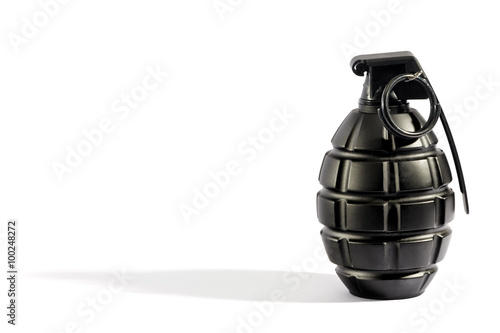 Canvas Print Single grenade with copy space