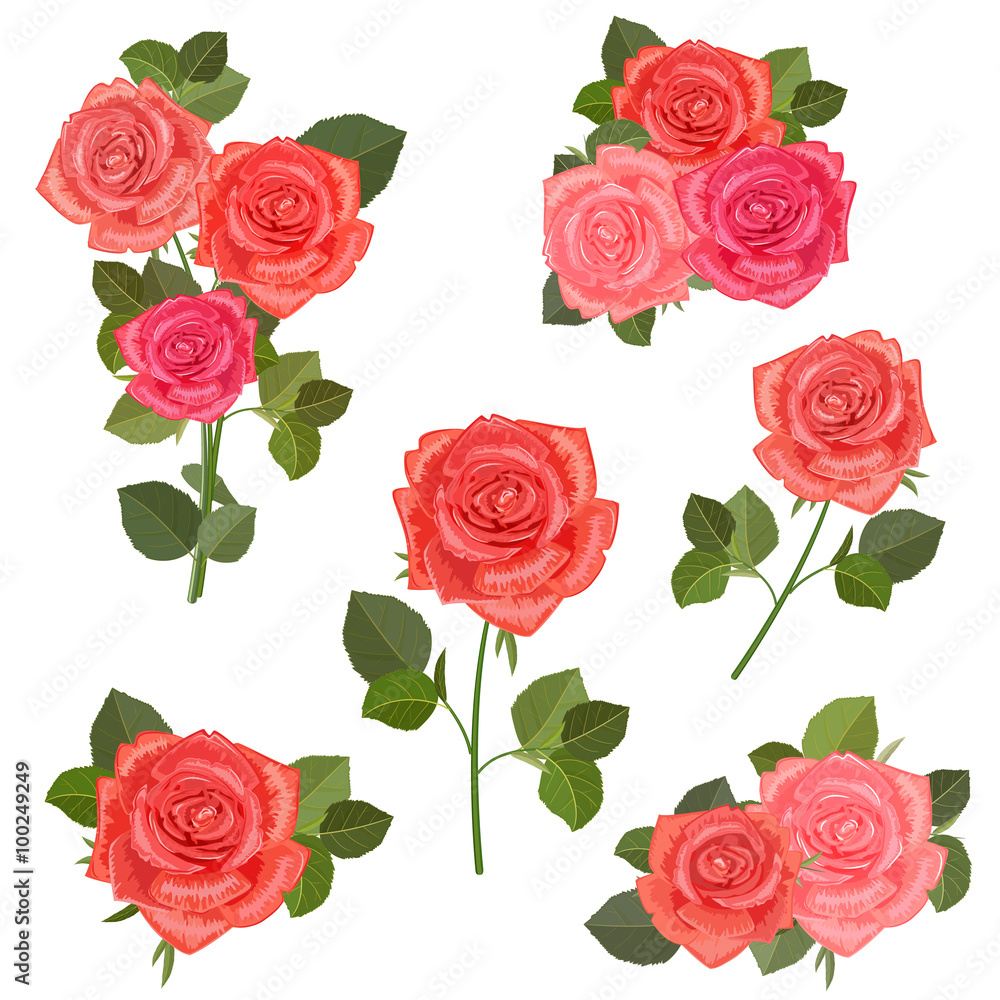 collection bouquets of roses for your design. collection bouquets of roses for your design.