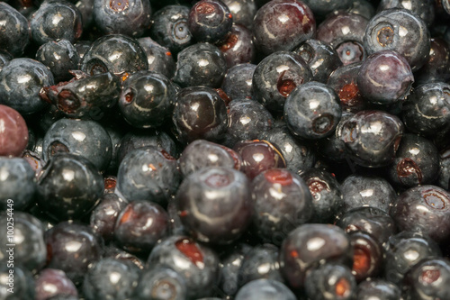 Fresh Blueberries Macro